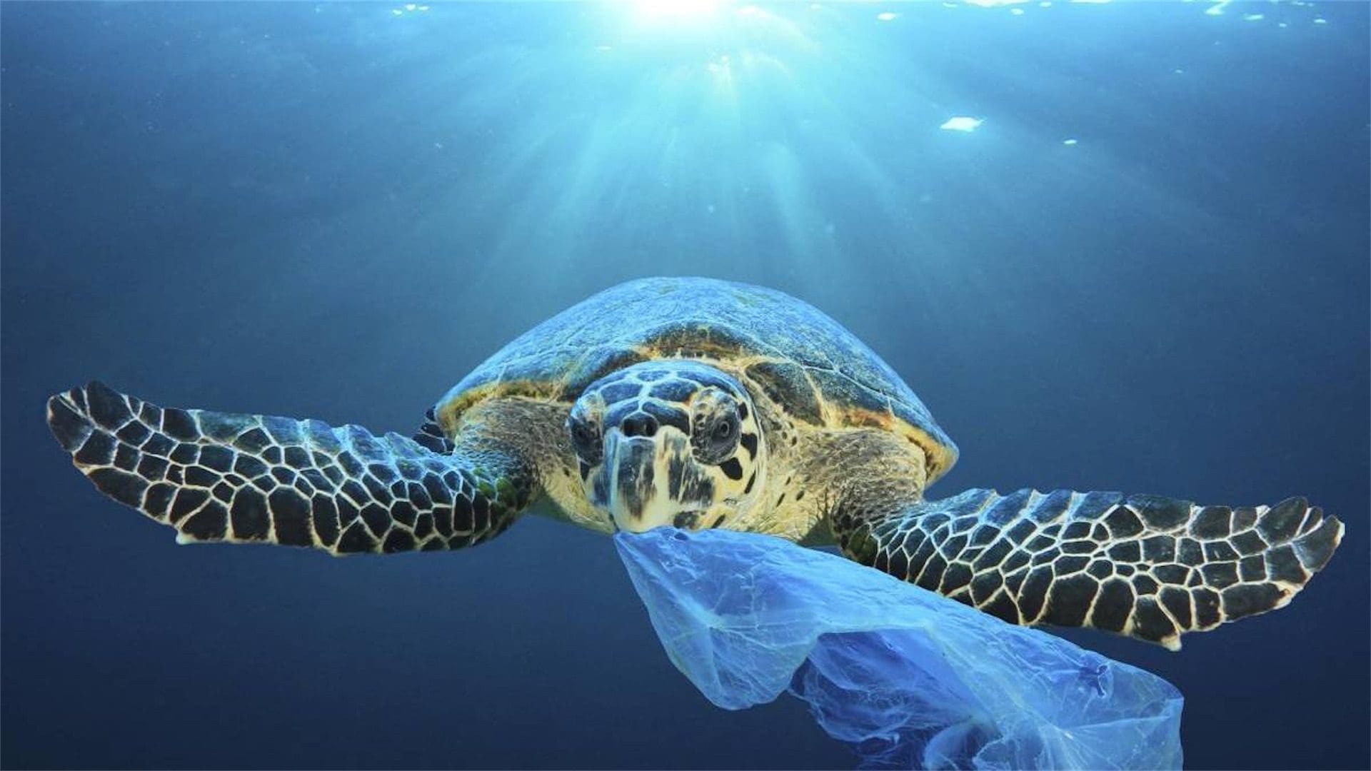 AI-Engineered Enzyme Can Break Down Waste Plastic in Days, Not ...